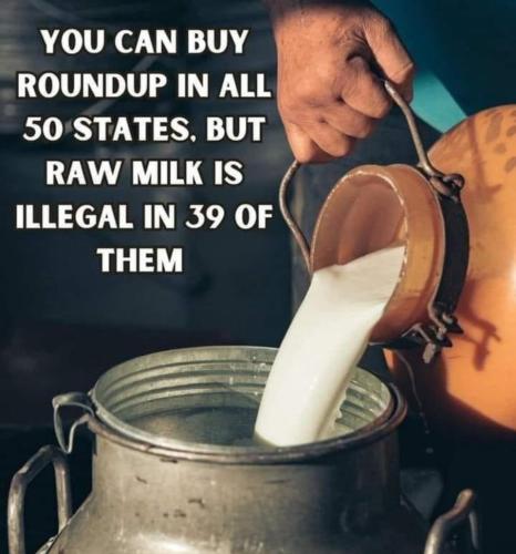 Roundup vs Raw Milk.960px