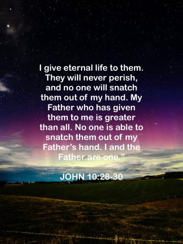 FAITH - John 10.28-30