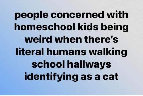 FB_IMG_1718313878516