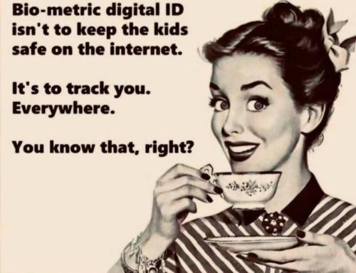 img - 2024-06-01T220056.626