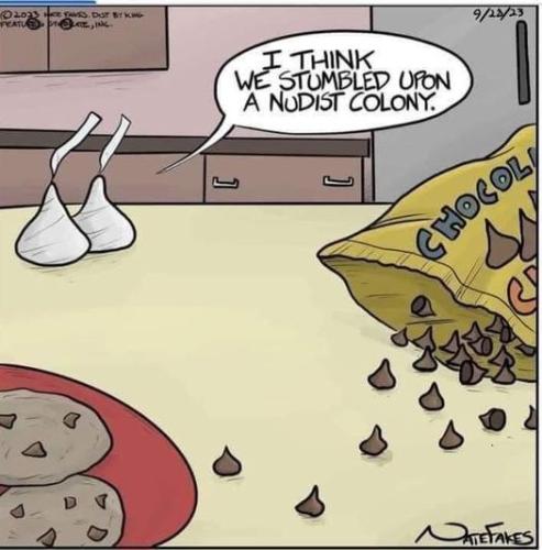 447485823_853163000182338_1310038264208706970_n