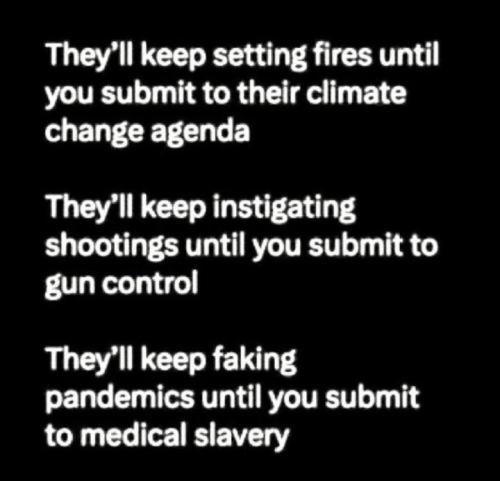 photo_2024-06-11_20-58-31