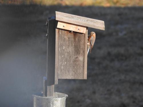 17794f8a-8a1f-4356-a287-ed7d445b29c7