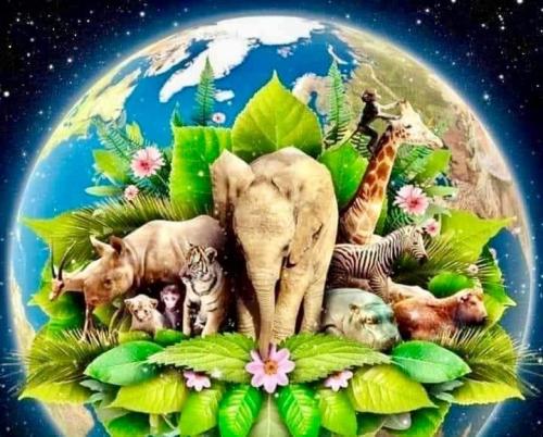 ,                          ,