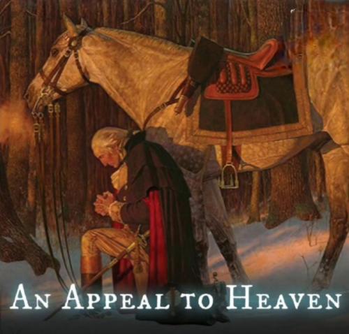 Screenshot_20240630_141854_Instagram