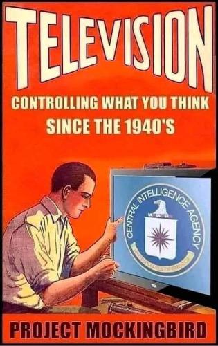 photo_2024-06-20_11-17-49 (2)