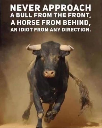 449379152_1383416472524508_5308731882837145717_n