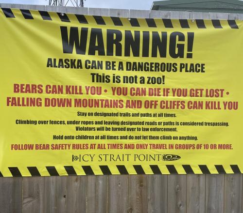 442505216_10229360776395840_6773088900482067516_n