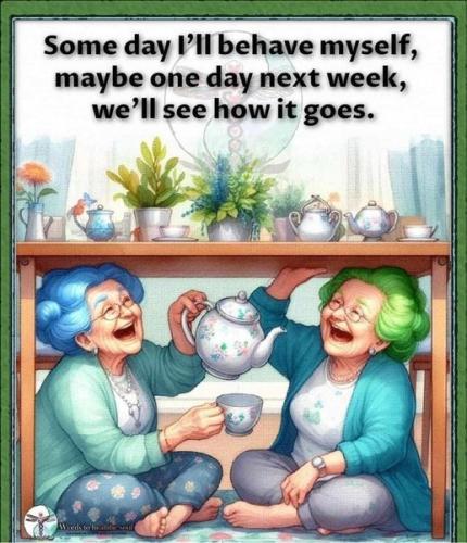 447028729_822550176592212_3739069435081216435_n