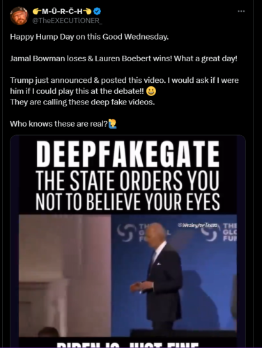 DeepFakeGate 1