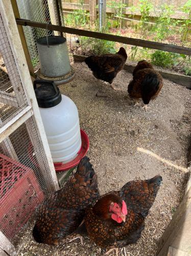 2302BC61-7376-4BB2-8F92-33E60A88B79D