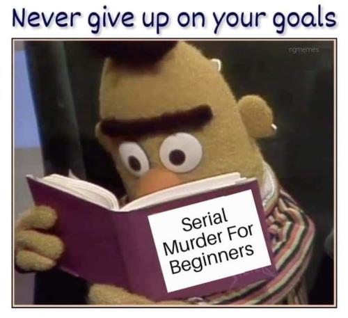 image_3828264A-D3ED-4A08-AE3E-145F3DBECDB6