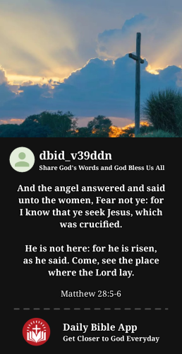 2024-06-281719606908465