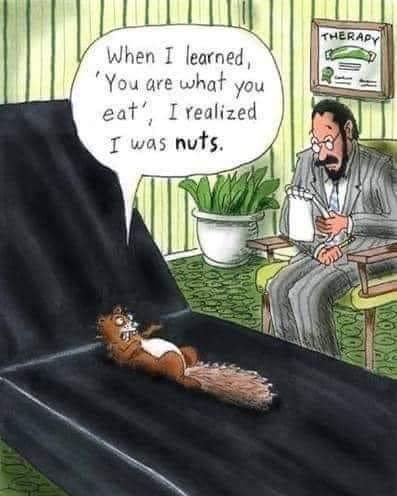 287715774_317203703933590_4297429088231908082_n