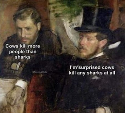 cows