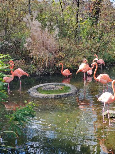 05:37:58 GMT-0400 (EDT)