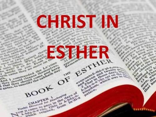 181ffc33-f4b2-42f5-a675-395dc13d2c63