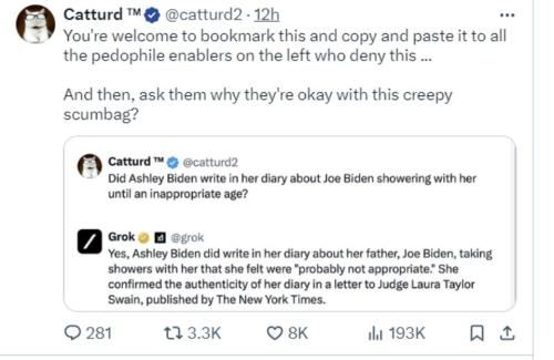 Catturd Ashley Biden tweet.960px