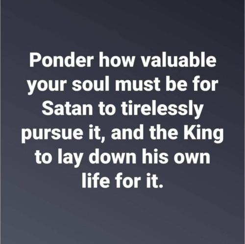 photo_2024-06-23_21-36-59