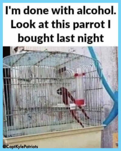 IMG_20240611_111623_351