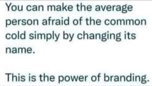 448033030_482191844266881_1248240908175944063_n