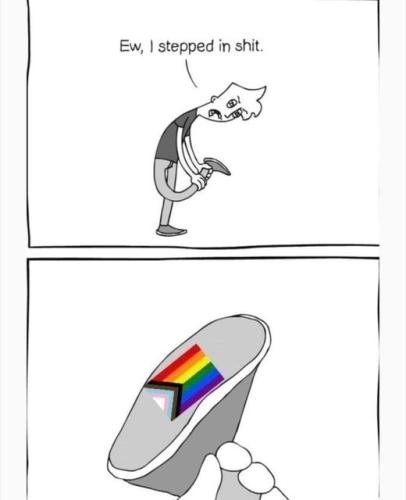 stepped in faggot shit