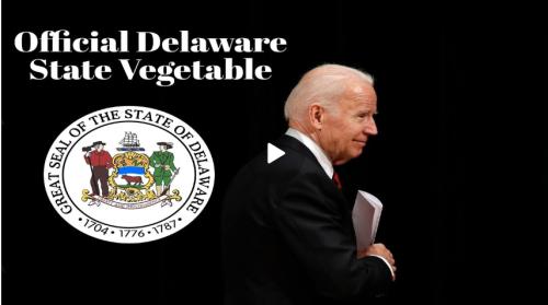 Delaware State Vegetable video screenshot