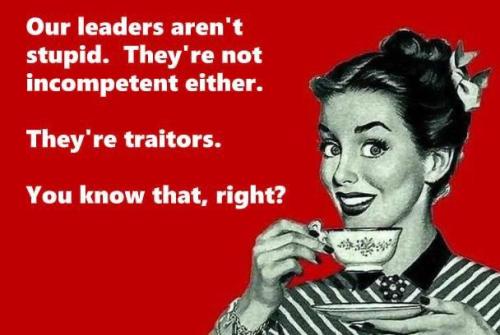 IMG_20240625_084842_156