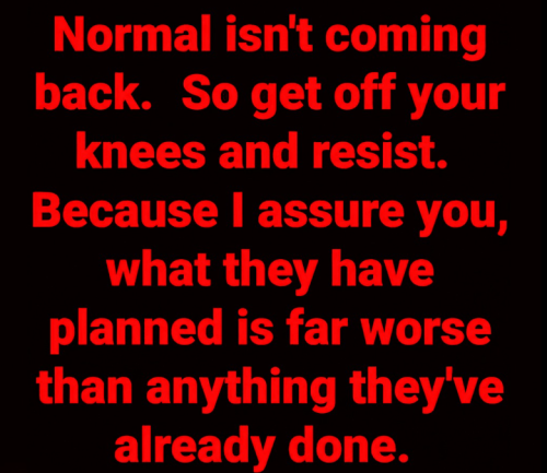 image_2024-06-11_060416309