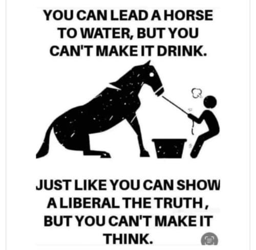 FB_IMG_1718281001856