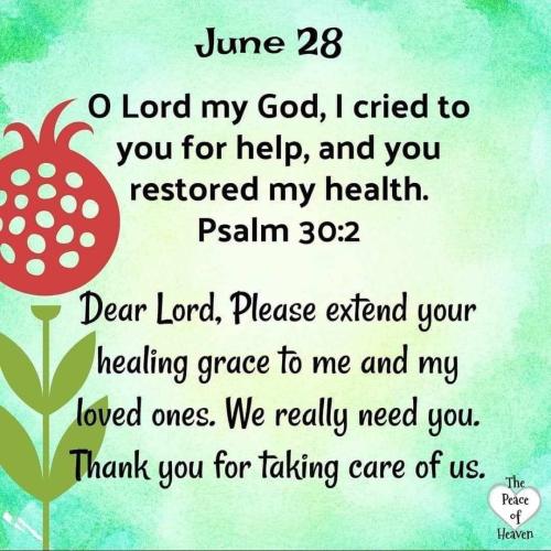 449366451_398367646569213_1040523547069080299_n