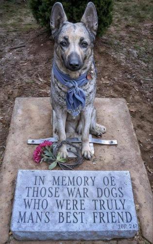 44ec853e-79ed-4995-83d2-3f6916f5abfb