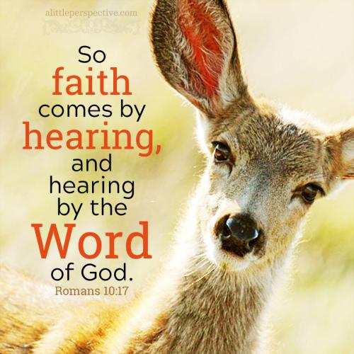 FAITH - Romans 10.17 WEB