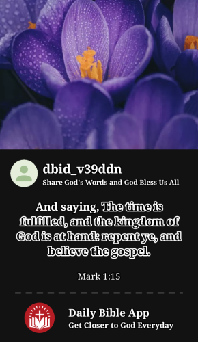 2024-06-011717235294229