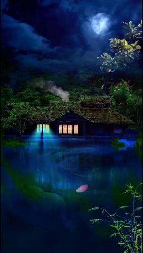 Night nature home