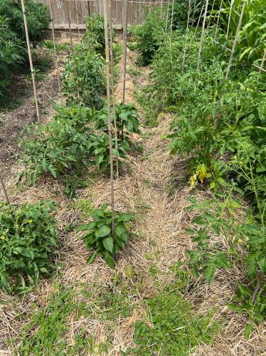 45687275-2B4A-478B-BB96-31A286D4D26B