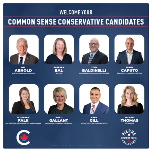 common sense Conservatives