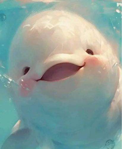 Screenshot_20240610-171528_Samsung Internet