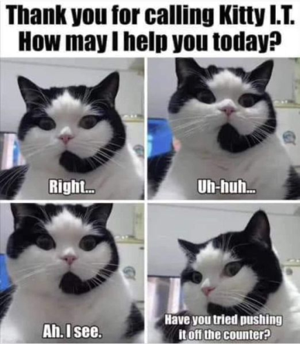 image_F5C8A2D0-9904-4D8F-886E-E691DB1833D5