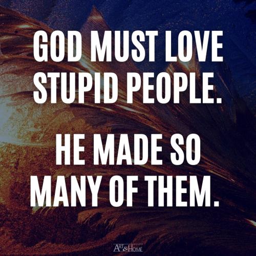 God loves stupid people