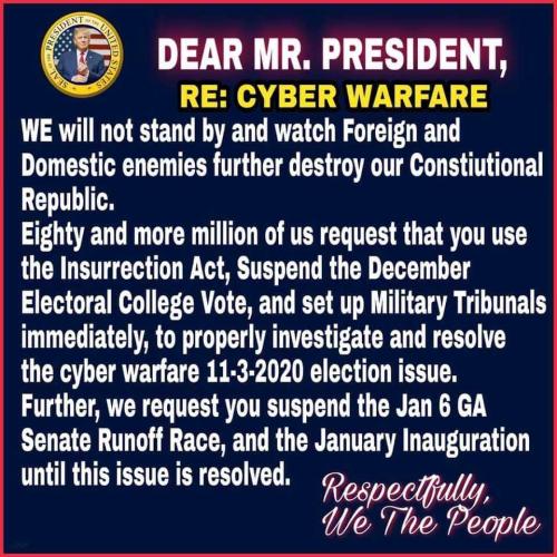 voter fraud dear mr president