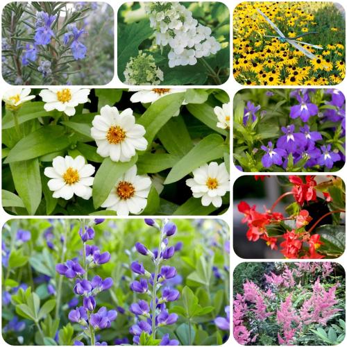 photocollage_2024621193411605