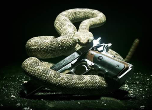 Screenshot_20240606-200007