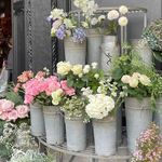 309077420_5641267472575663_5798845425135521900_n