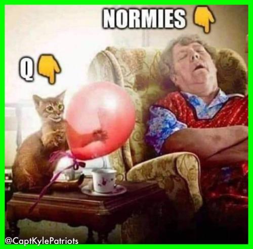 IMG_20240610_150913_290