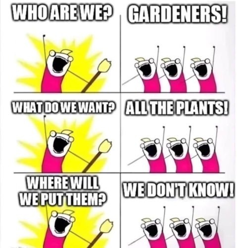 Screenshot_2024-05-30-13-13-14_kindlephoto-17895458