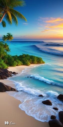 Tropical shoreline