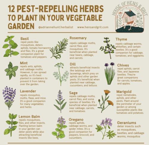 photo_2024-06-26_15-37-06