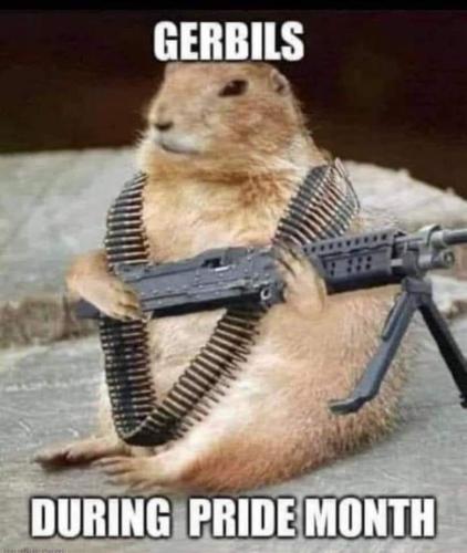 FB_IMG_1717549171984