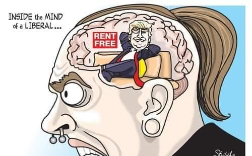 image_2024-06-29_113343814